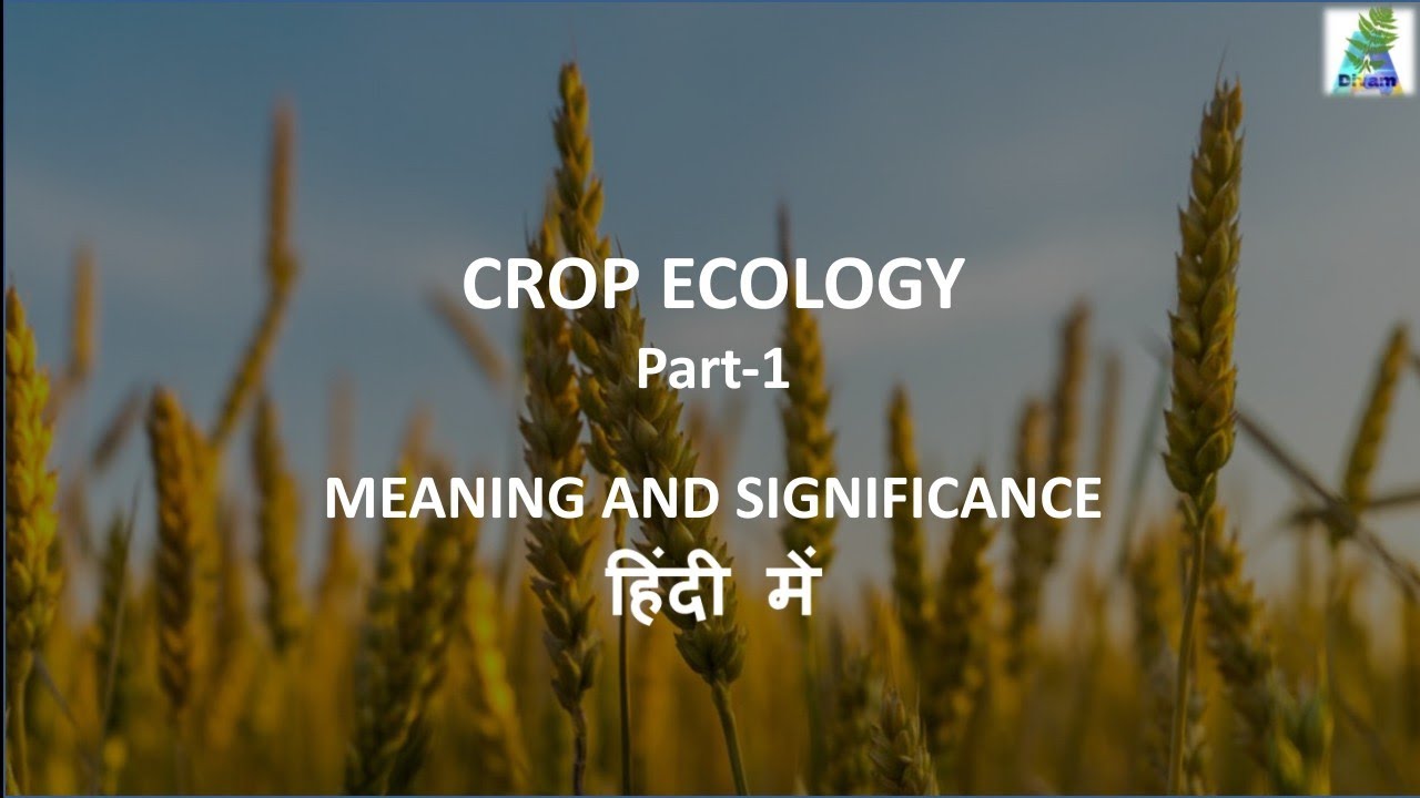 Crop Ecology- Part 1 | Crop ecology in Hindi | Crop micro-climate | Harvest Index | Source Sink