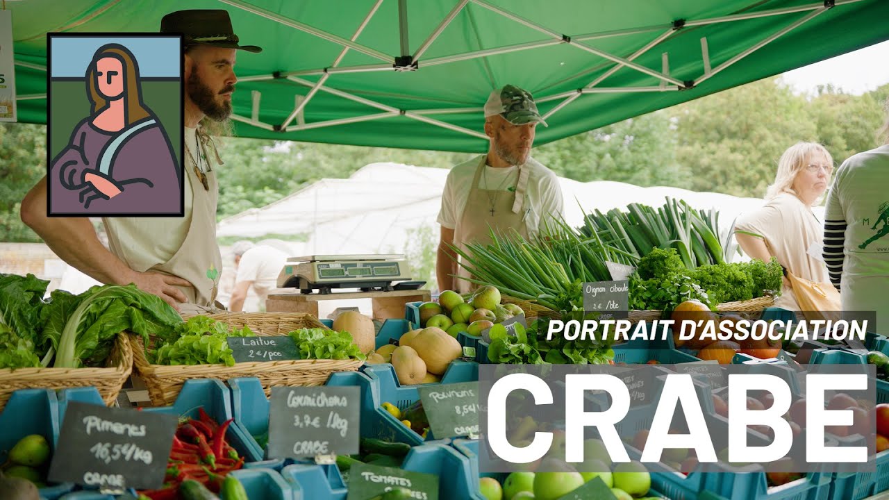 Portrait d'association : Crabe