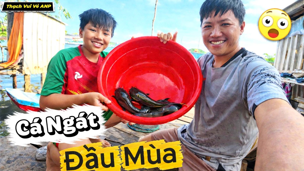 Cá Ngát Đầu Mùa Đi Sông Thả Câu Và Cái Kết Bất Ngờ - Thạch Vui Vẻ ANP