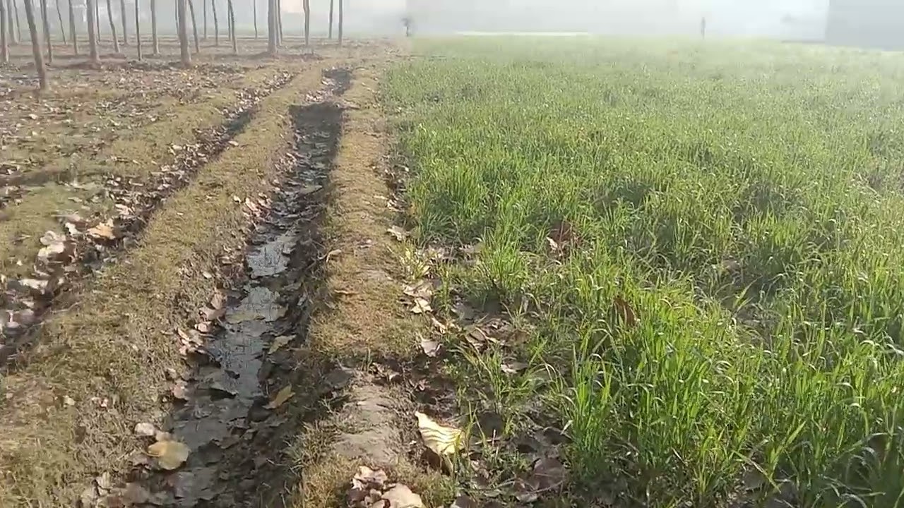 my Village khazana suger mils peshawar