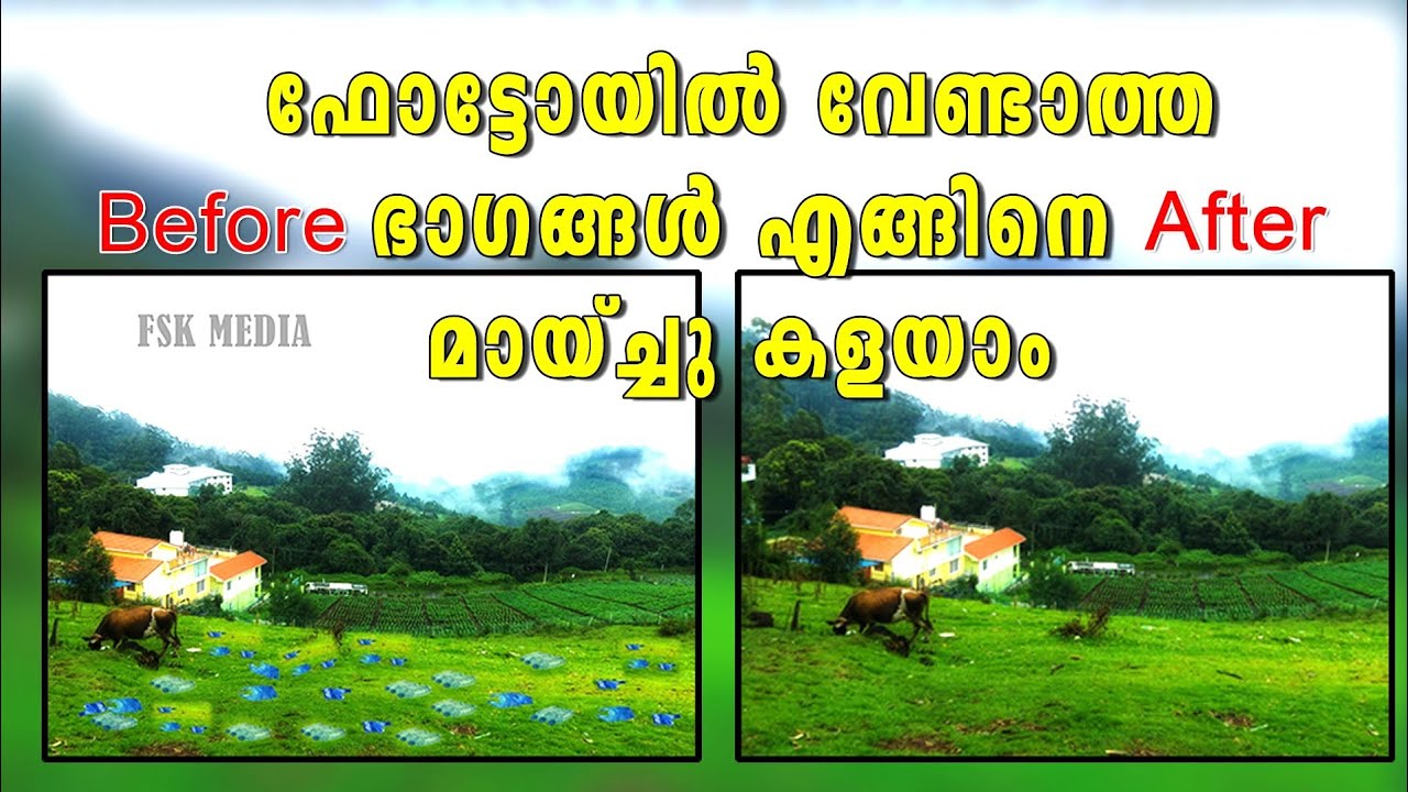 How to remove unwanted things from photo | Snapseed healing tool | Snapseed tutorial malayalam