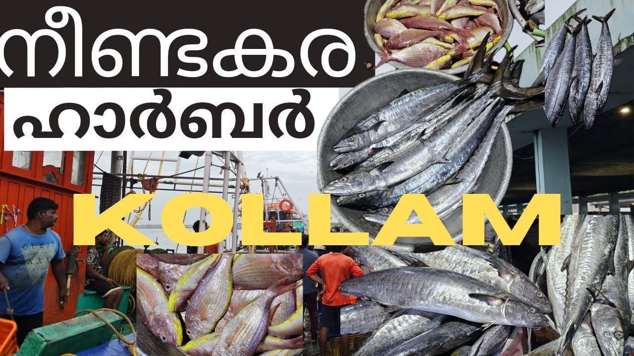 കൊല്ലത്ത് കുറഞ്ഞ വിലക്ക് കടൽ മീൻ Neendakara Fishing Harbour #kollam #neendakara #fishing