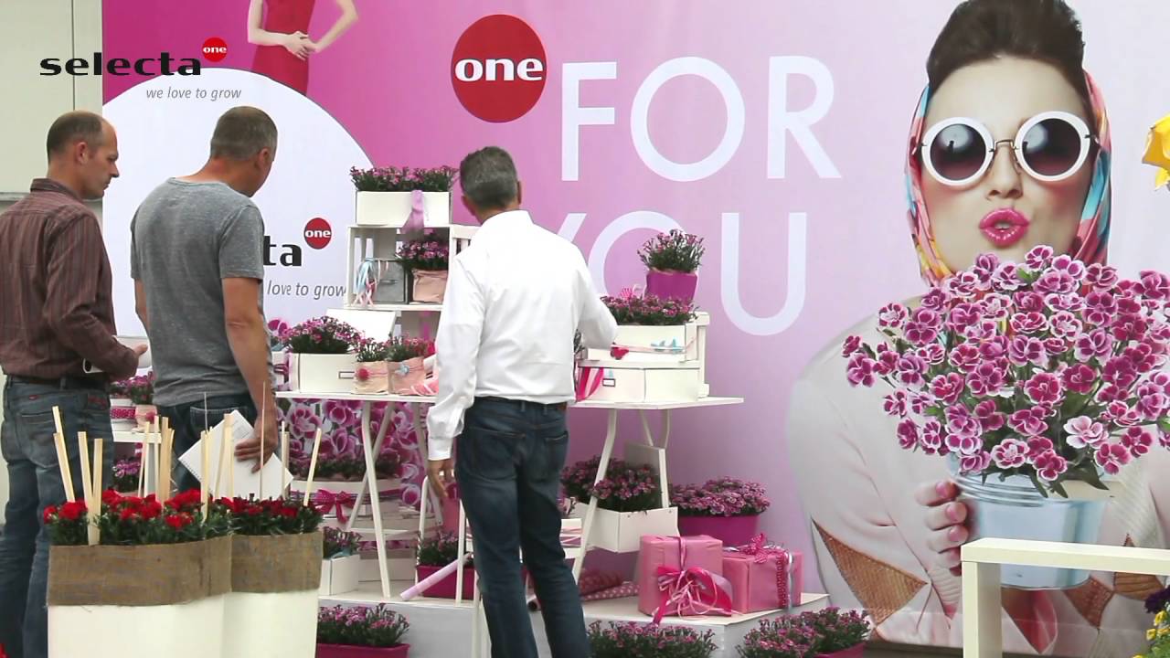 Selecta one Image video
