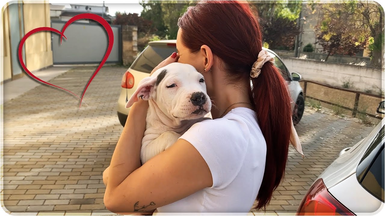 Sorpresa alla mia ragazza che si commuove NUOVO ARRIVO IN FAMIGLIA ❤️ - BENVENUTO ÍVAR 🐕