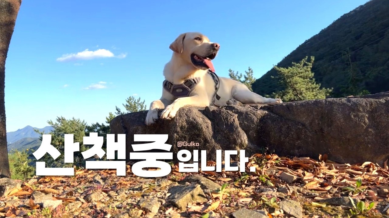 25.2026.2.12 천비룡사 문수 만나러...