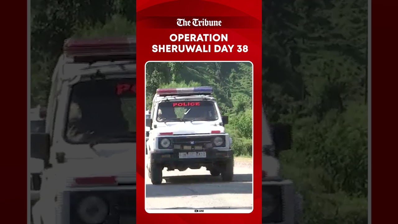 Operation Sheruwali Enters Day 38 as Massive Search for Terrorists Continues in Rajouri