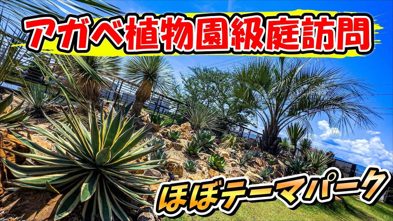 【個人宅植レポ】 超レアなアガベがザックザク植ってるドライガーデン&ハウス&畑を見せてもらう