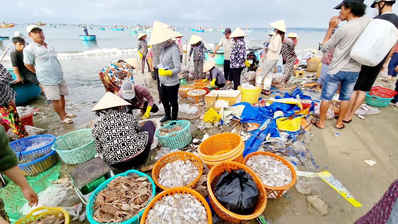 3.10.2024 Chợ cá vô ngày chay đồ quá nhiều rẻ, ghẹ rẻ bạch tuột, sò ốc rẻ ngon