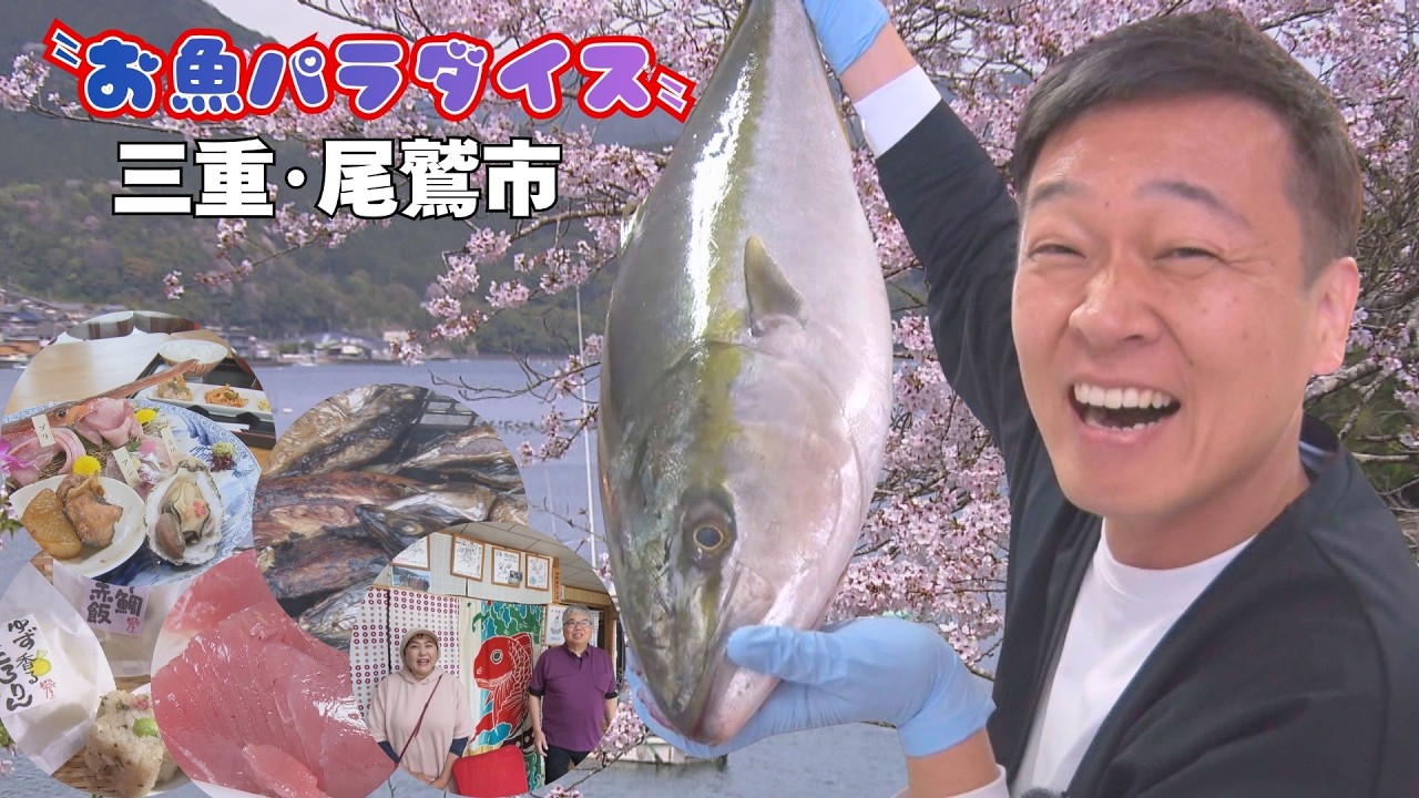 春ブリを堪能！尾鷲お魚パラダイス旅 受け継がれる漁師町の知恵【旬咲く日和】
