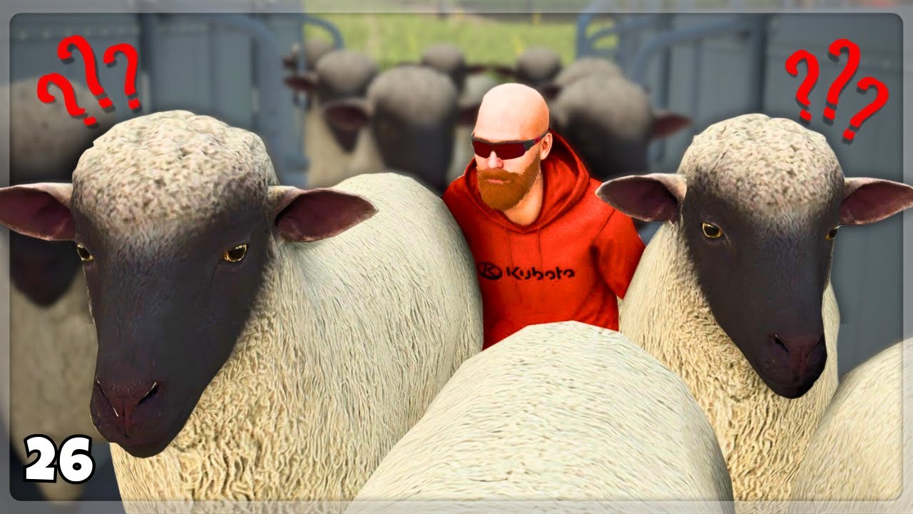 I Moved All My Sheep Into A Huge New Barn | Mega Farm Survival Challenge Ep 26