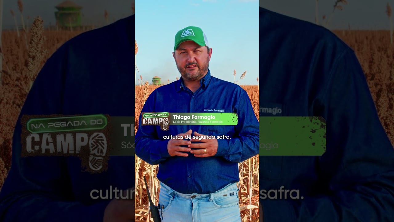🌾 Sorgo 50A60: adaptabilidade e produtividade no oeste da Bahia 🚜