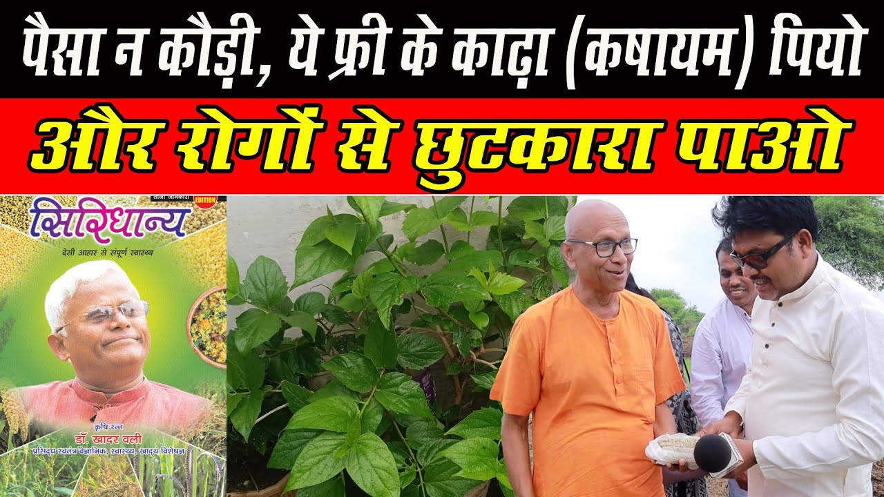 फ्री काढ़ा पीकर रोगों को दूर भगाओ। Immunity booster Drink 