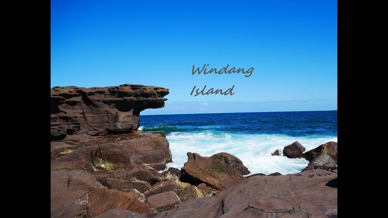 windang island rock fishing adventure NSW