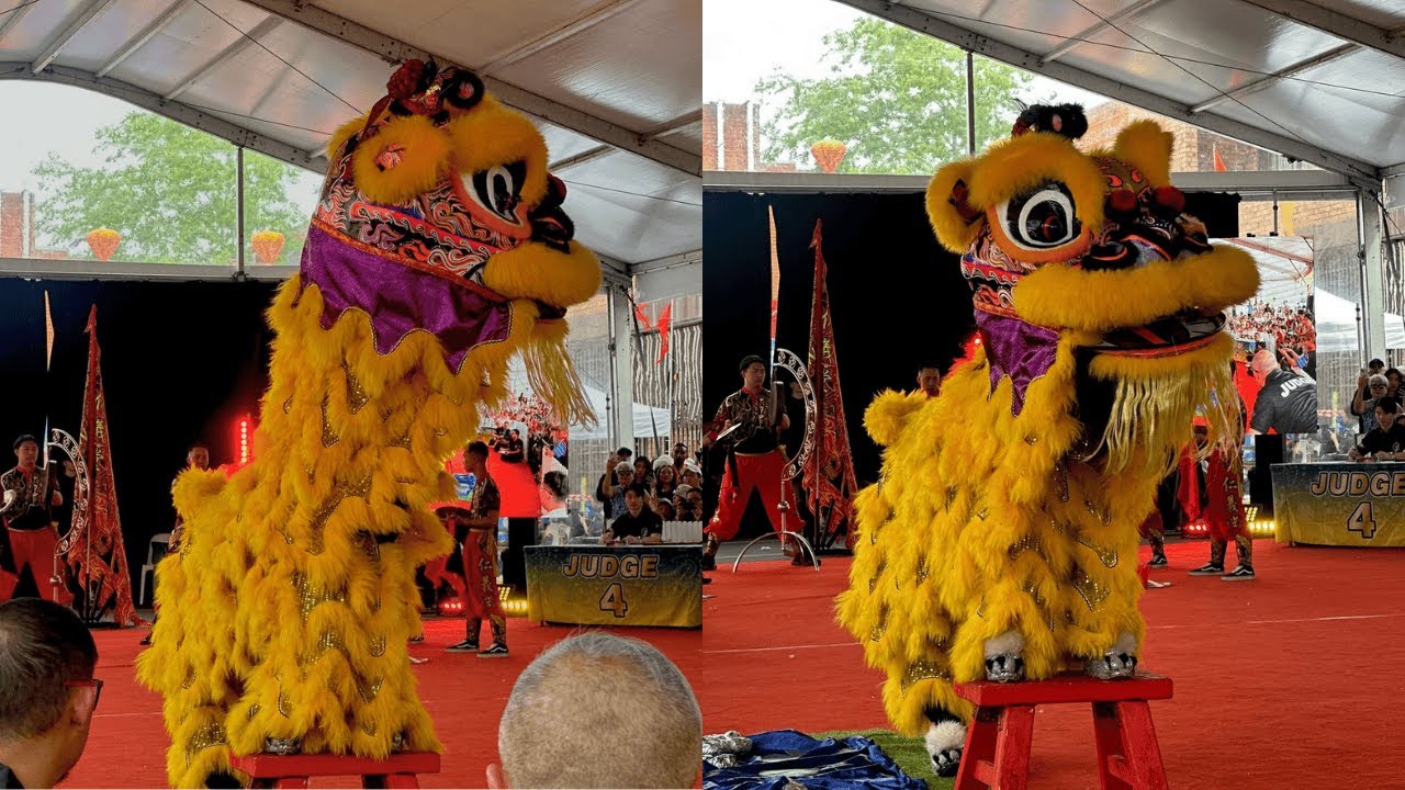 The Scorpion's Last Sting - Australia's First National Lion Dance Competition 2025
