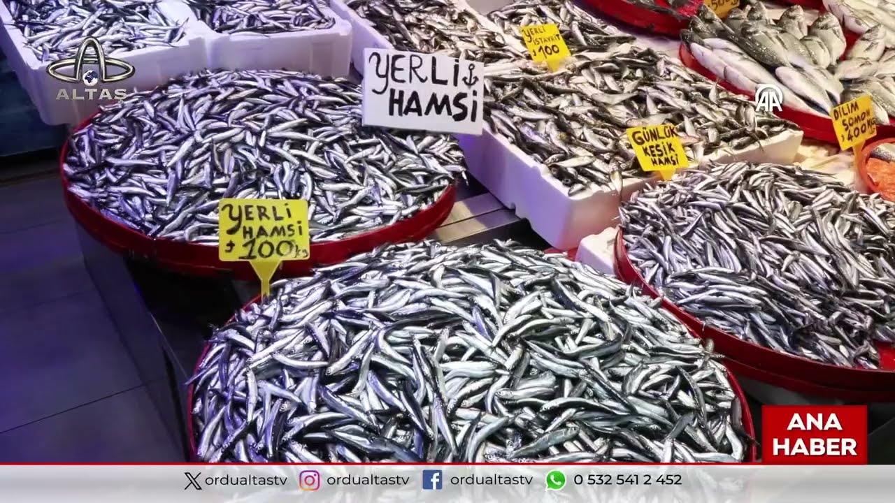 Ordu Altaş TV Ana Haber | 1 Mart 2026
