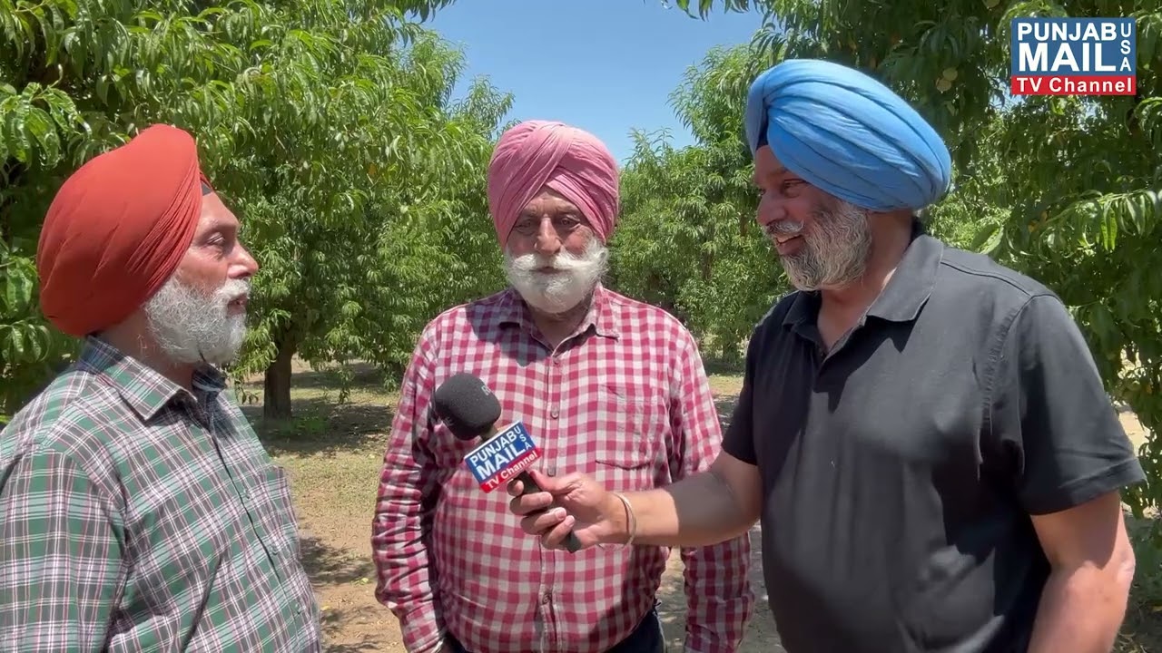 Farming In California | Punjab Mail USA TV Channel