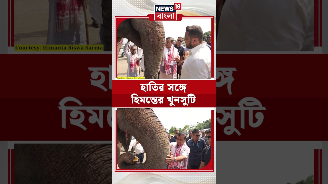 হাতির সঙ্গে Himanta Biswa Sarma-র খুনসুটি | #shorts