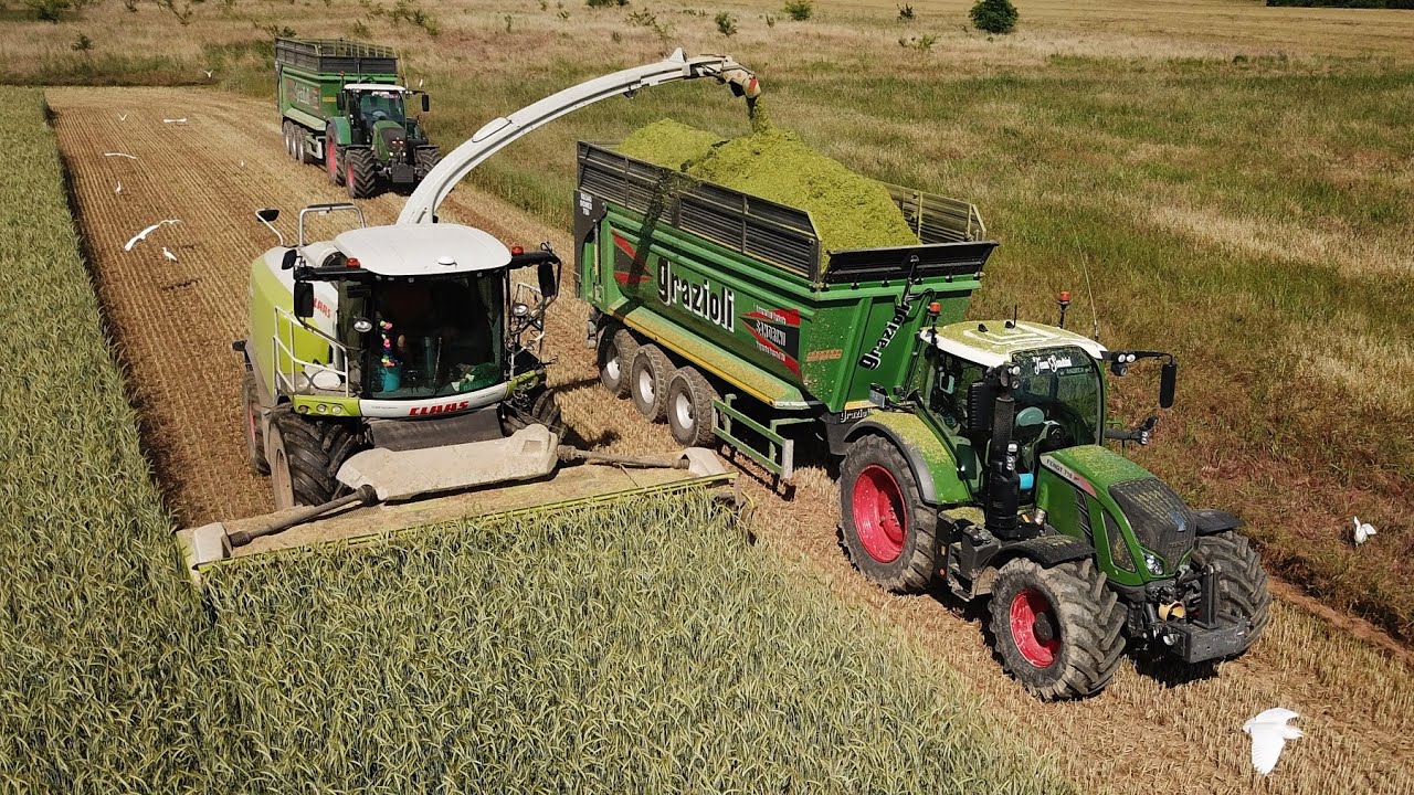 Claas Jaguar 980 | 6x Fendt | Trinciatura Triticale 2025 | Sandrini