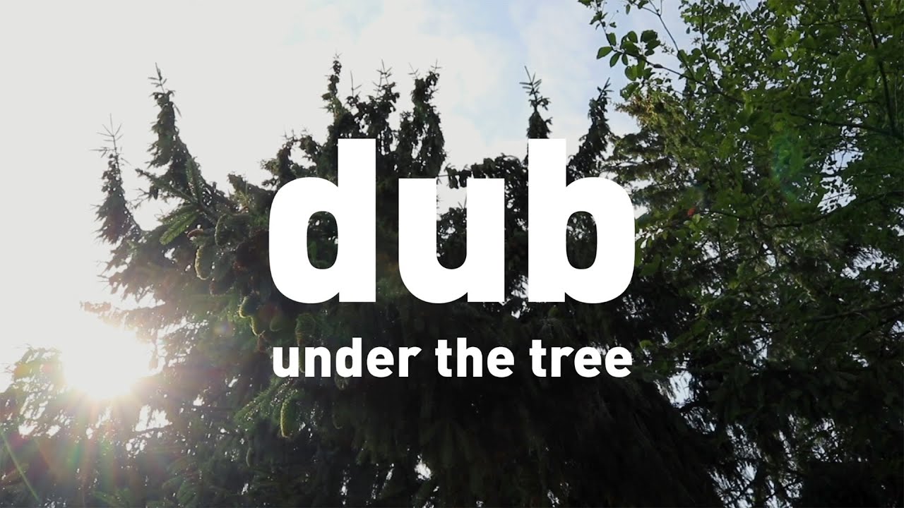 Taikūs Garsai - Dub under the tree