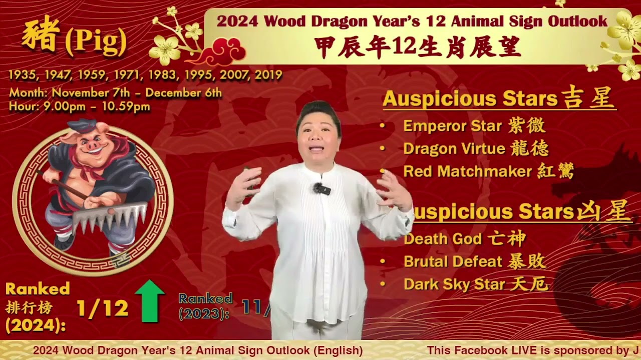 The  Pig - 2024 Chinese Zodiac 12 Animal Signs Outlook