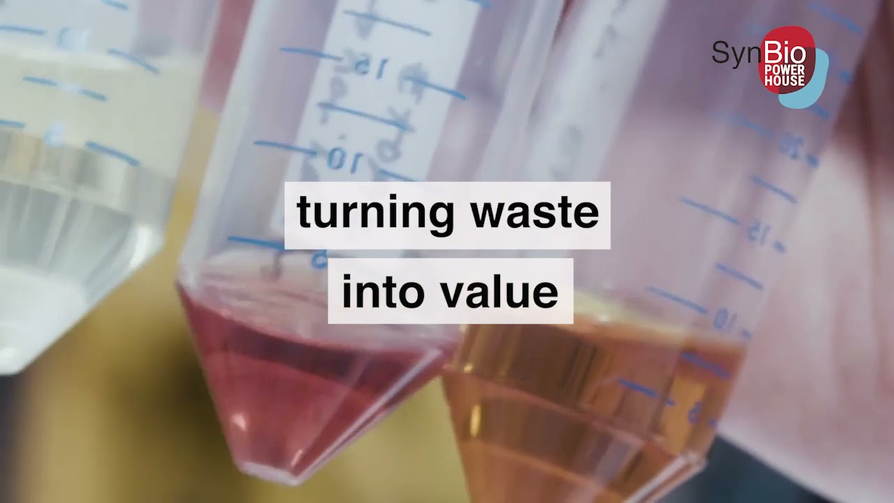 Why the Bioeconomy needs Synthetic Biology
