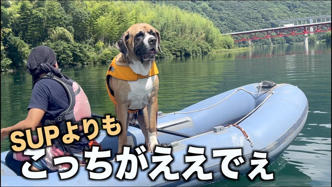SUPよりもボートに乗ってる方が楽しそうなロイ♪