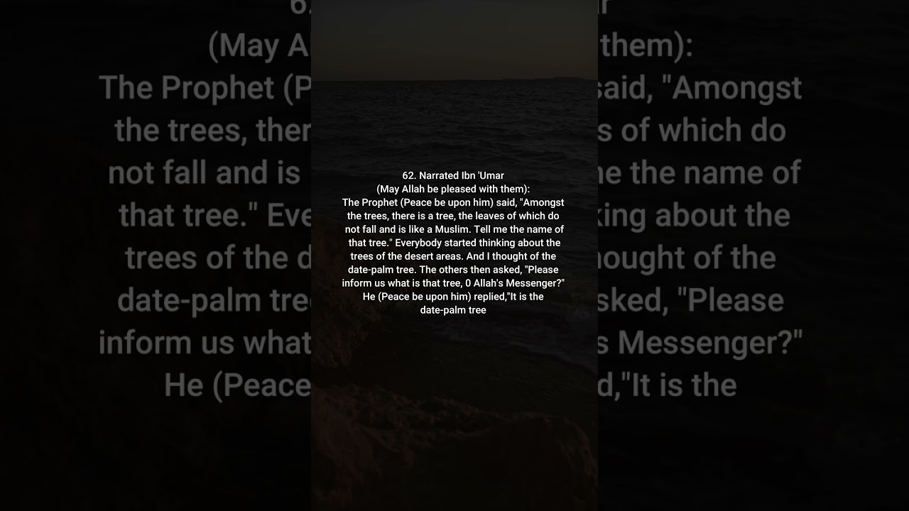 Sahih al-Bukhari -  knowledge - 62        #islam #viral #hadith