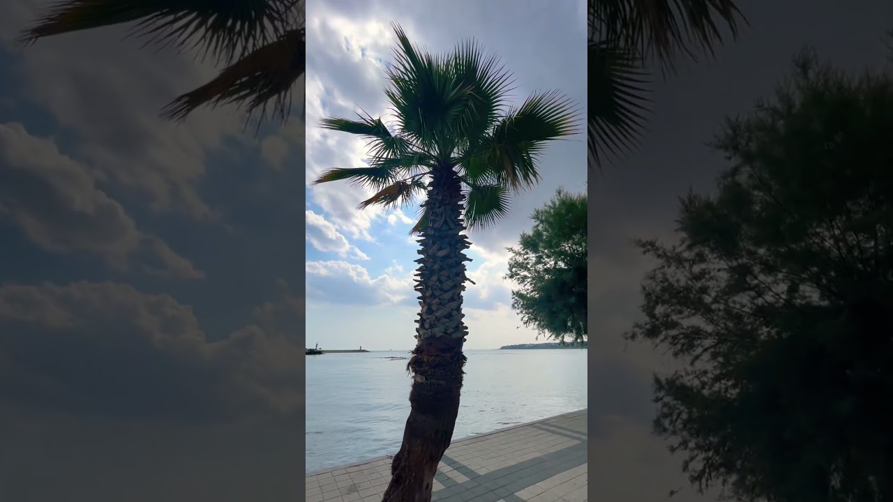 Exploring Silivri a district of Istanbul Province #fypシ゚viral #travel #turkey#fyp subscribe 4 more🥰