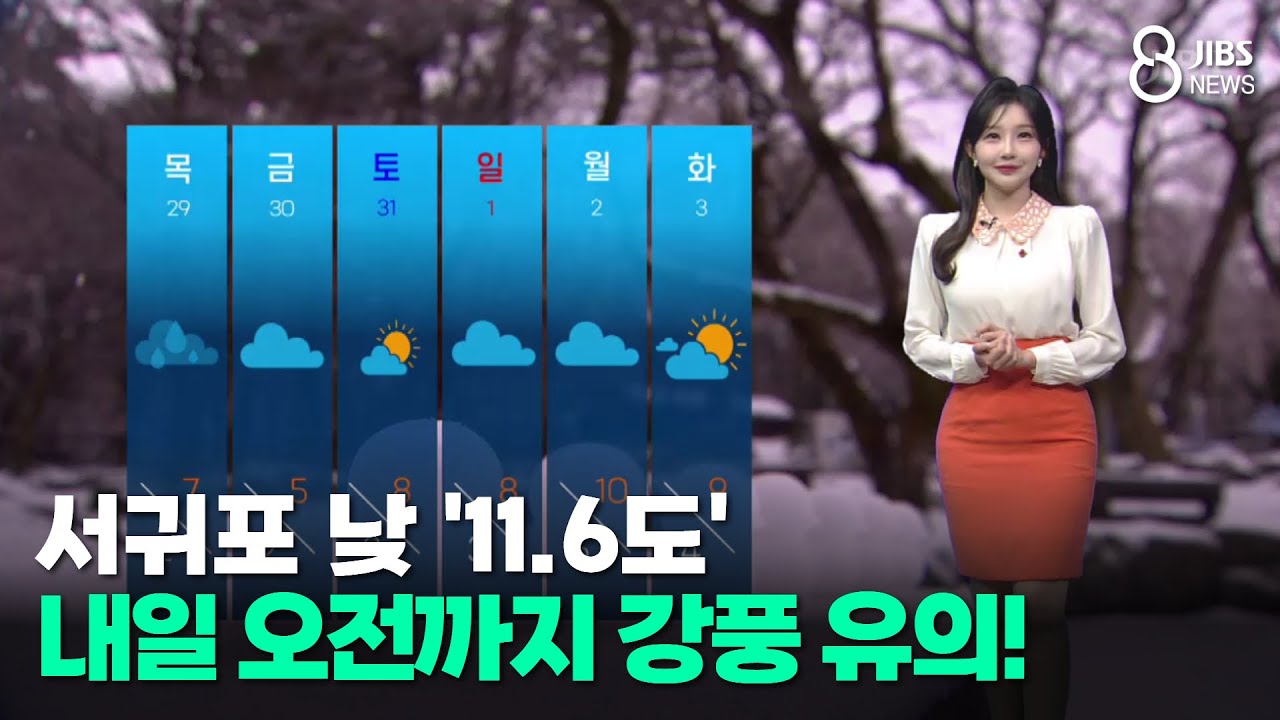 [제주날씨]서귀포 낮 '11.6도'...내일 오전까지 강풍 유의! /JIBS/제주/2026.01.27