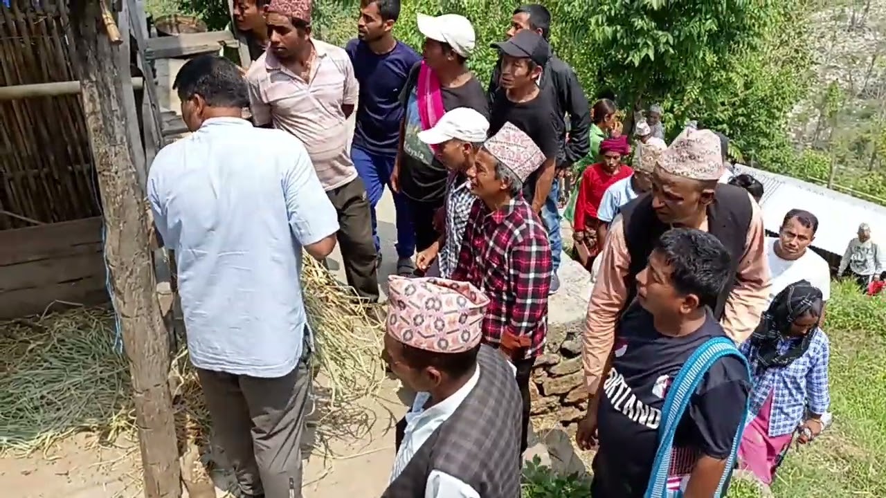 धनकुटाको १८०० #dhankuta #rajaranidhankuta #chaubise #goatfarming #goat