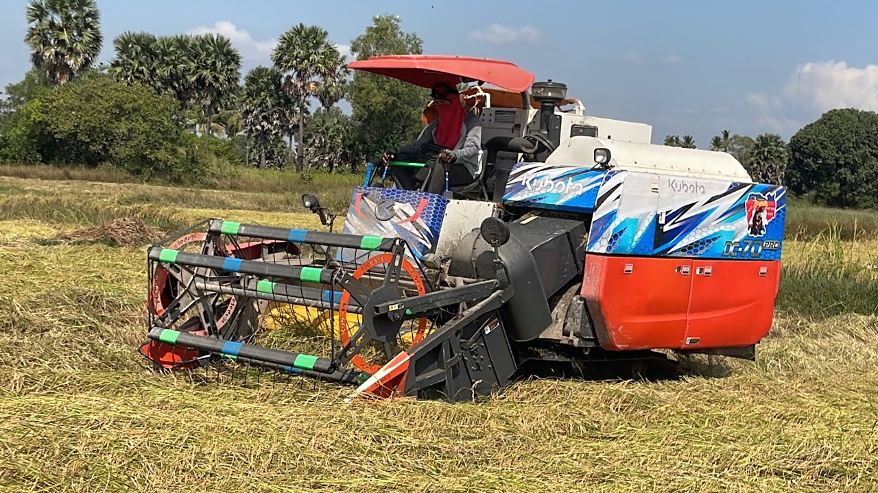 Ngày đầu vụ của a máy cắt lúa kubota dc70