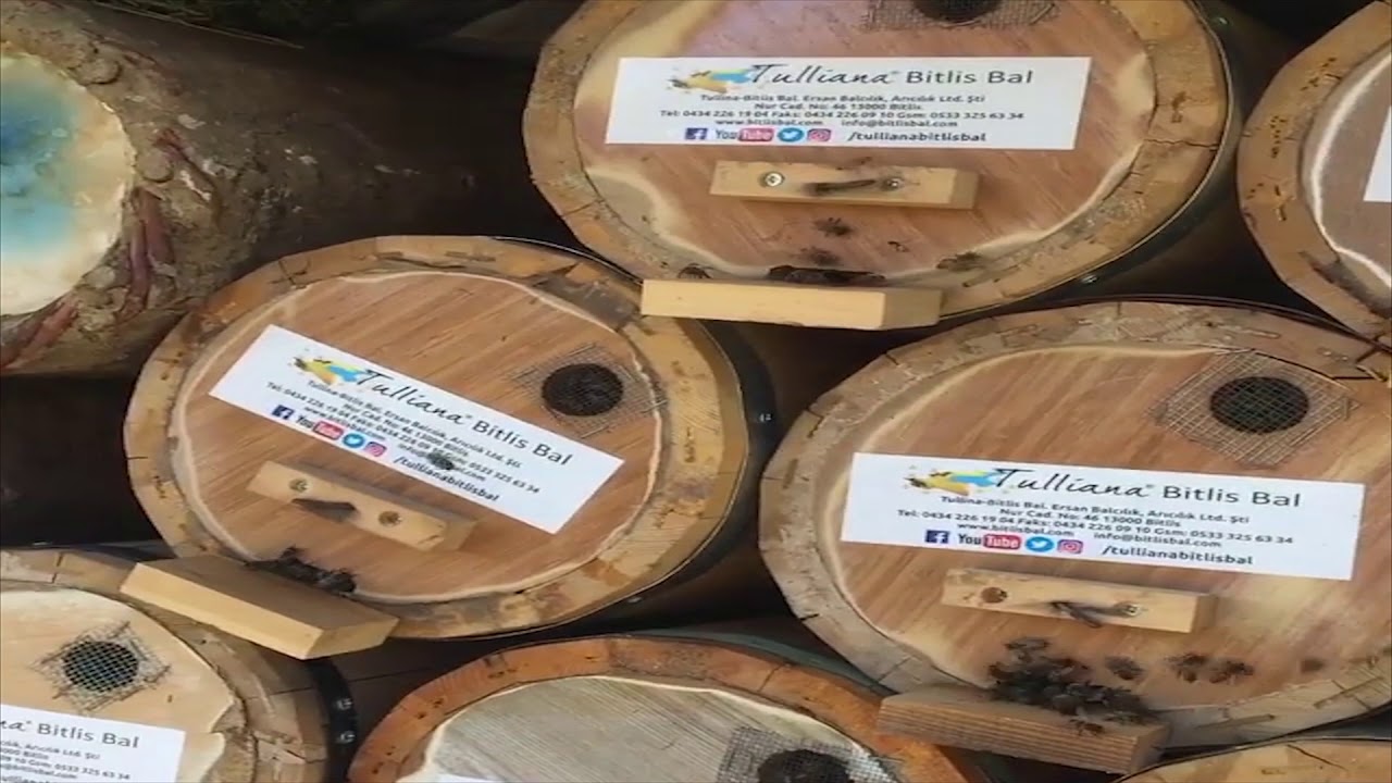 Tulliana Bitlis Bal-Bitlis Mutki 3000 Metre Karakovan Bal Petekleri