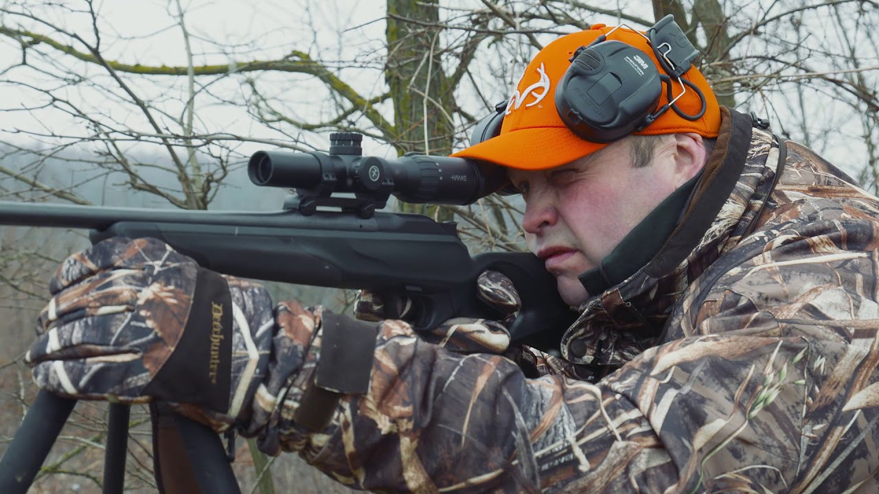 Driven Wild Boar Hunting in Hungary