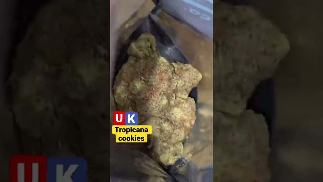 Connected Tropicana cookies | Balaclavabuds