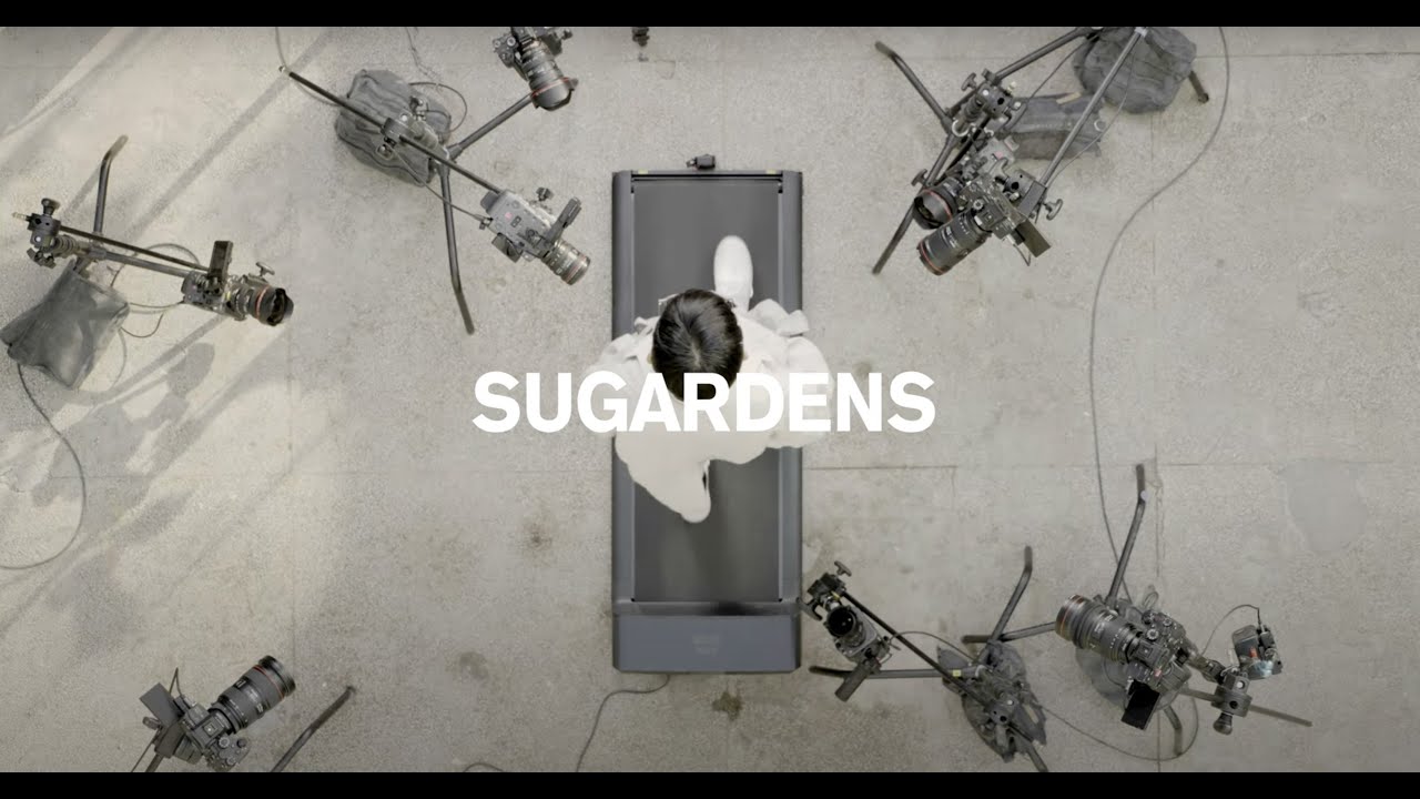 ZIGGY CHEN | SUGARDENS