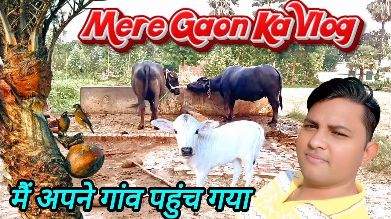 My Village Tour #vlog #villagevlog #tour #gaon #mausam #travel #vlogs #varanasi #uttarpradesh