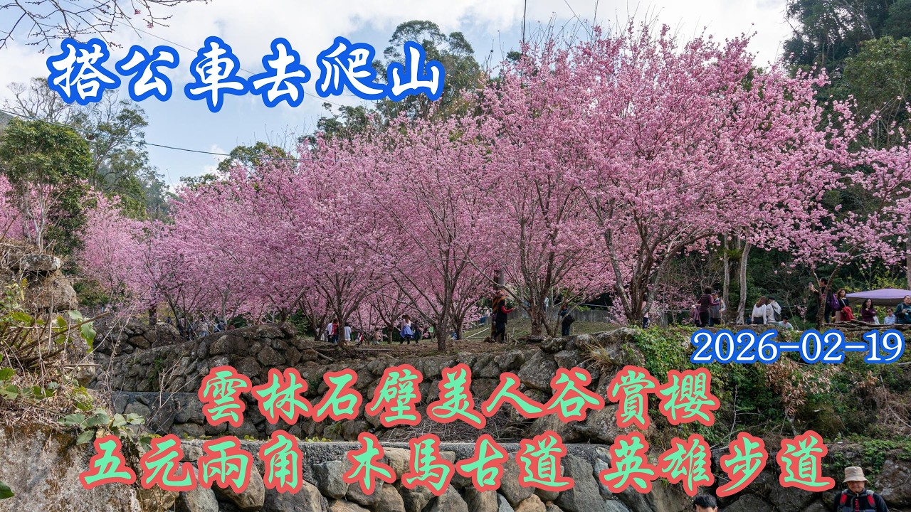 2026 02 19 搭公車去爬山 雲林石壁美人谷賞櫻 五元兩角 木馬古道 英雄步道