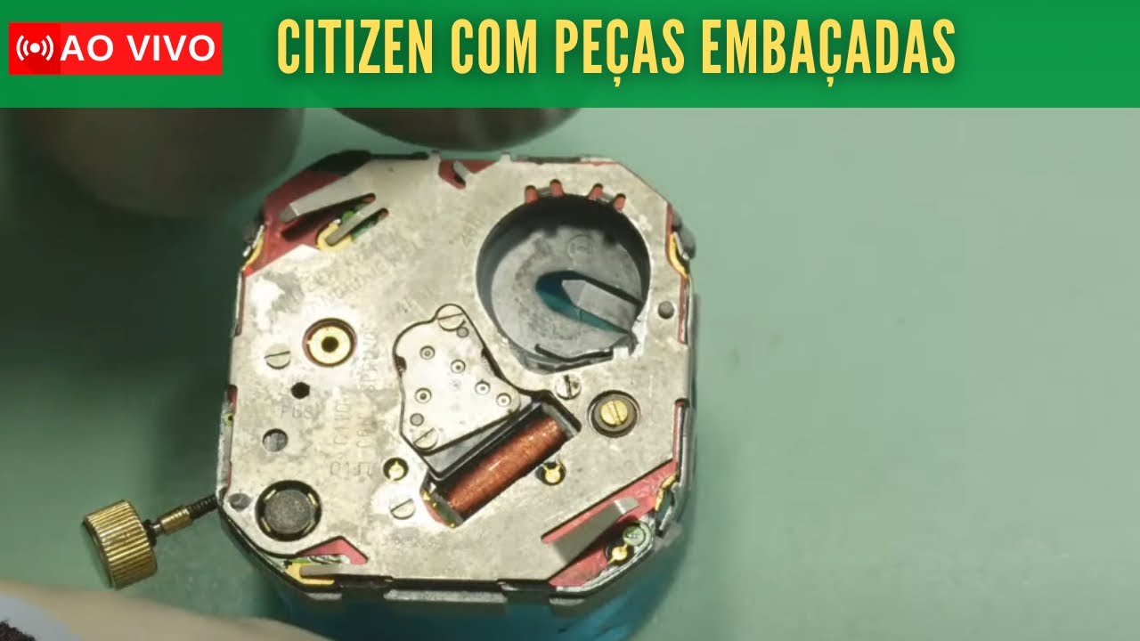Live, montagem do citizen c110-Ezequias Relojoeiro