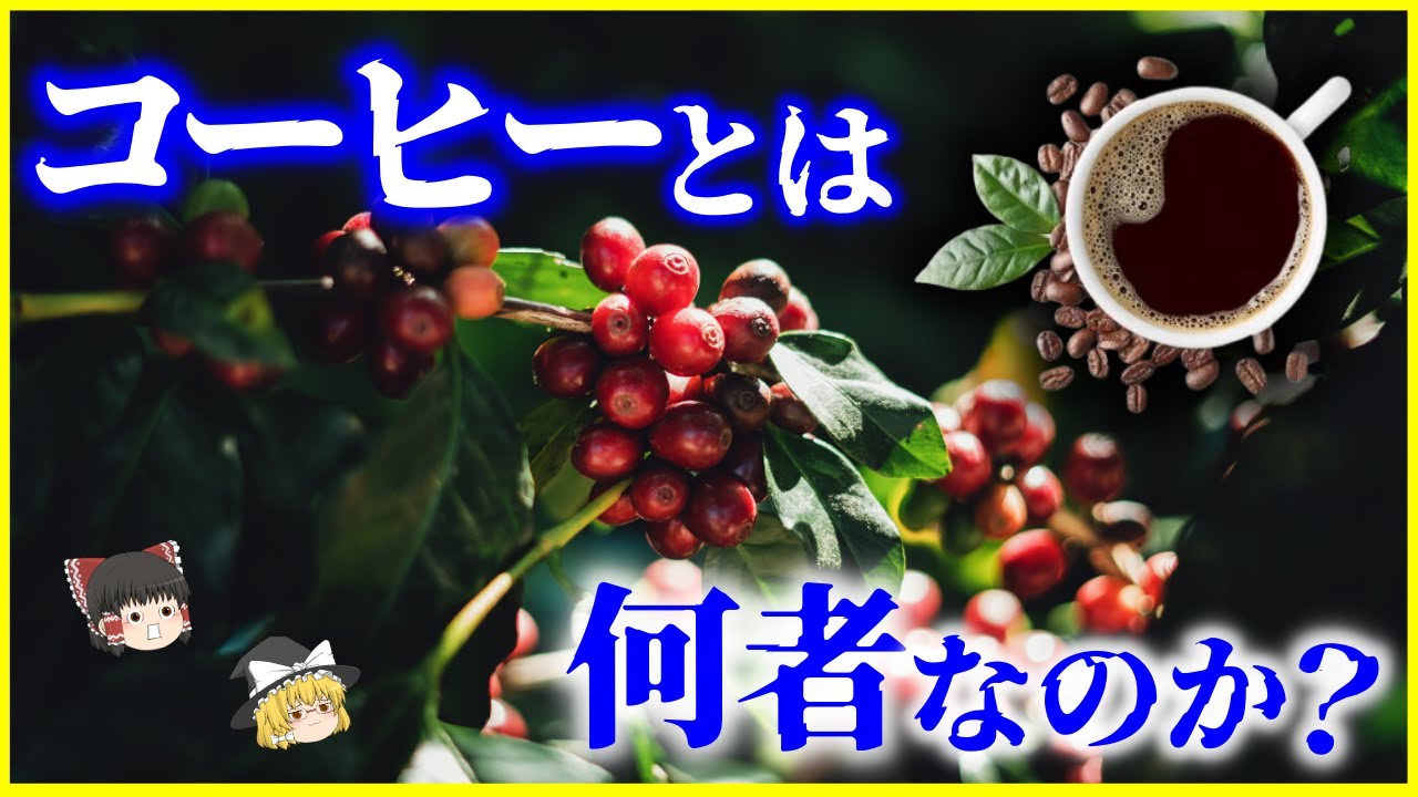 【ゆっくり解説】2日間しか咲かない花…「コーヒー」とは何者なのか？を解説/豆の種類と風味の違い