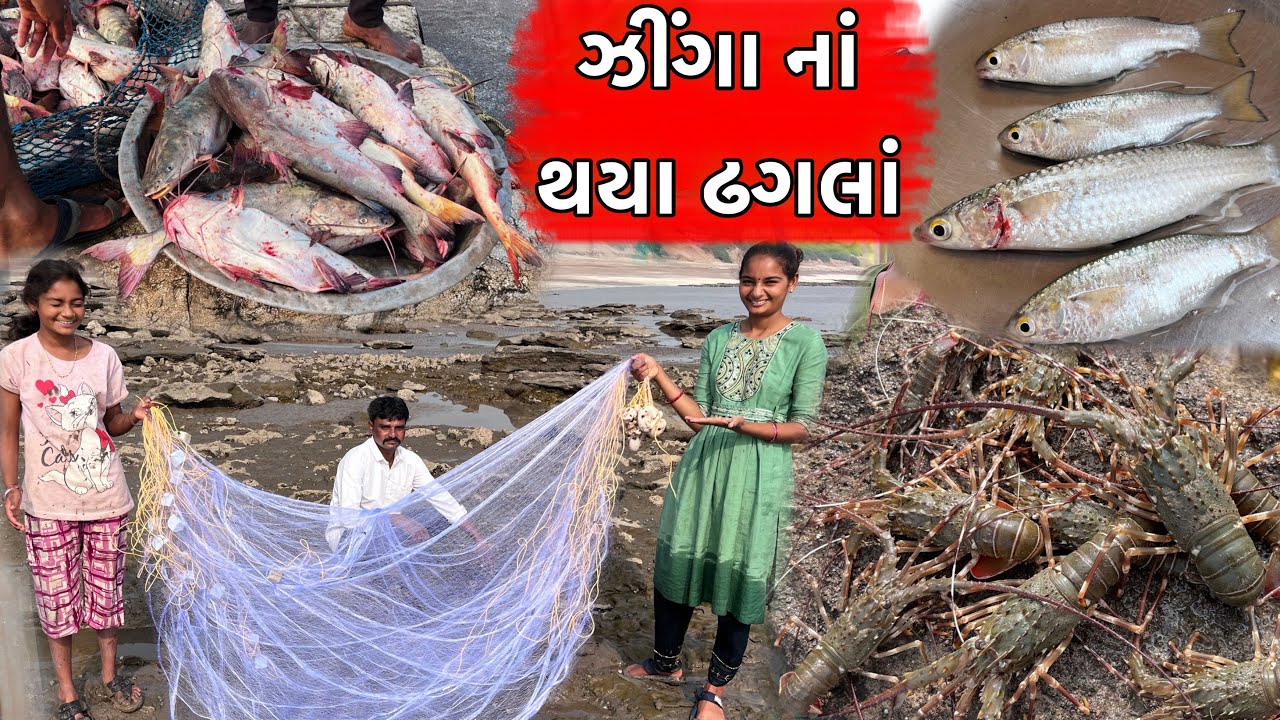 સેજલે મછી નાં ઢગલાં કરી નાખાં પામેડો પકડીયો 🐠 ઝીંગા નાં થયાં ઢગલાં 