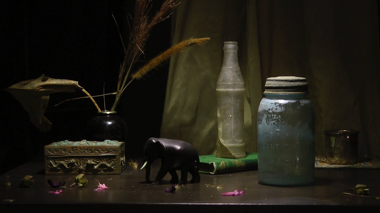 how to set up a still life