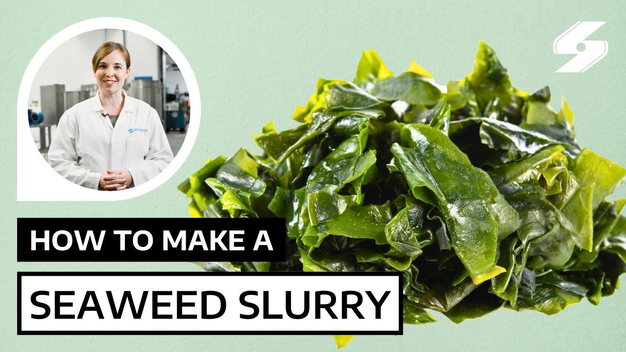 Bulk Seaweed Slurry Production