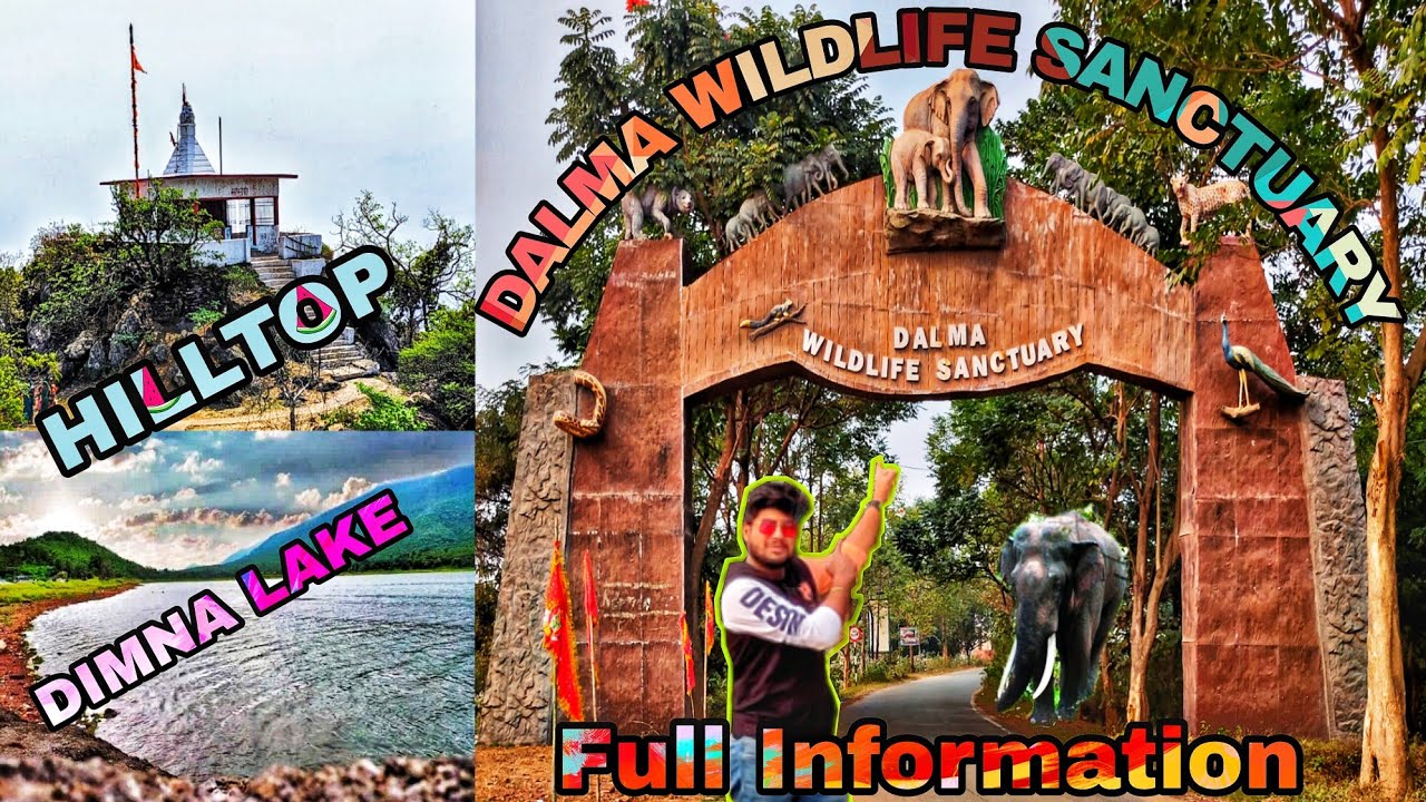 Dalma Wildlife Sanctuary. Dimna Lake. Trip to  Dalma forest hilltop Hanuman Mandir. Makula Kocha