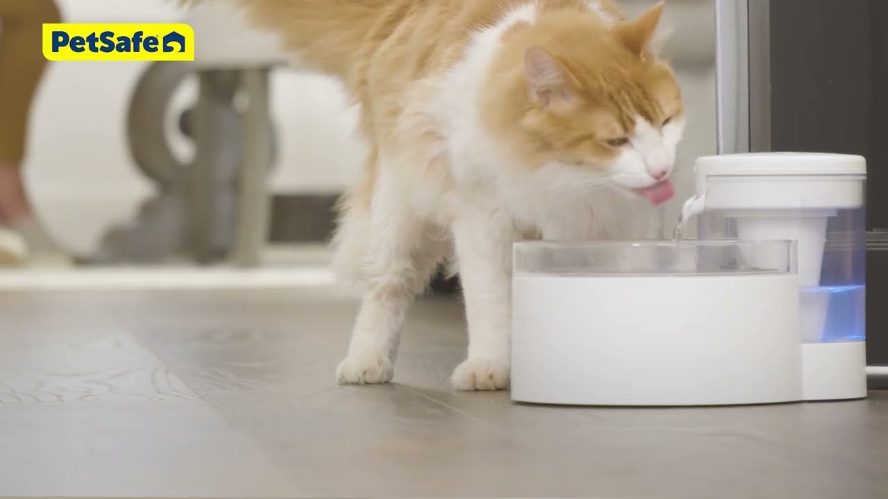 How to Assemble and Clean Your PetSafe&reg;Outlast&trade; Pumpless Pet Fountain