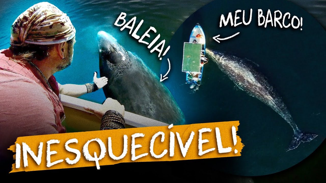 ENCONTRANDO UM GIGANTE NA NATUREZA, A BALEIA CINZENTA! | RICHARD RASMUSSEN