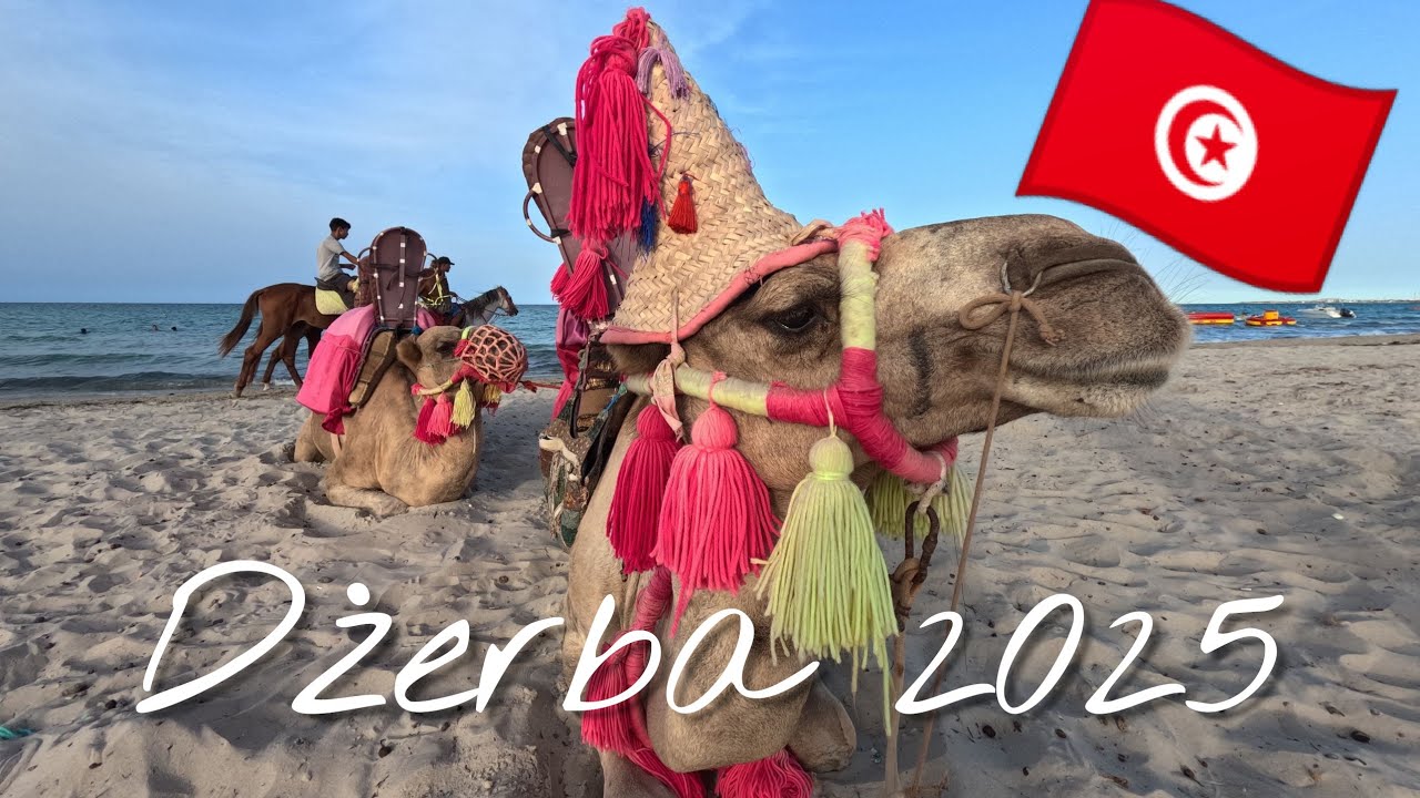 Hotel Fiesta Beach | oraz zwiedzanie wyspy Dżerba
