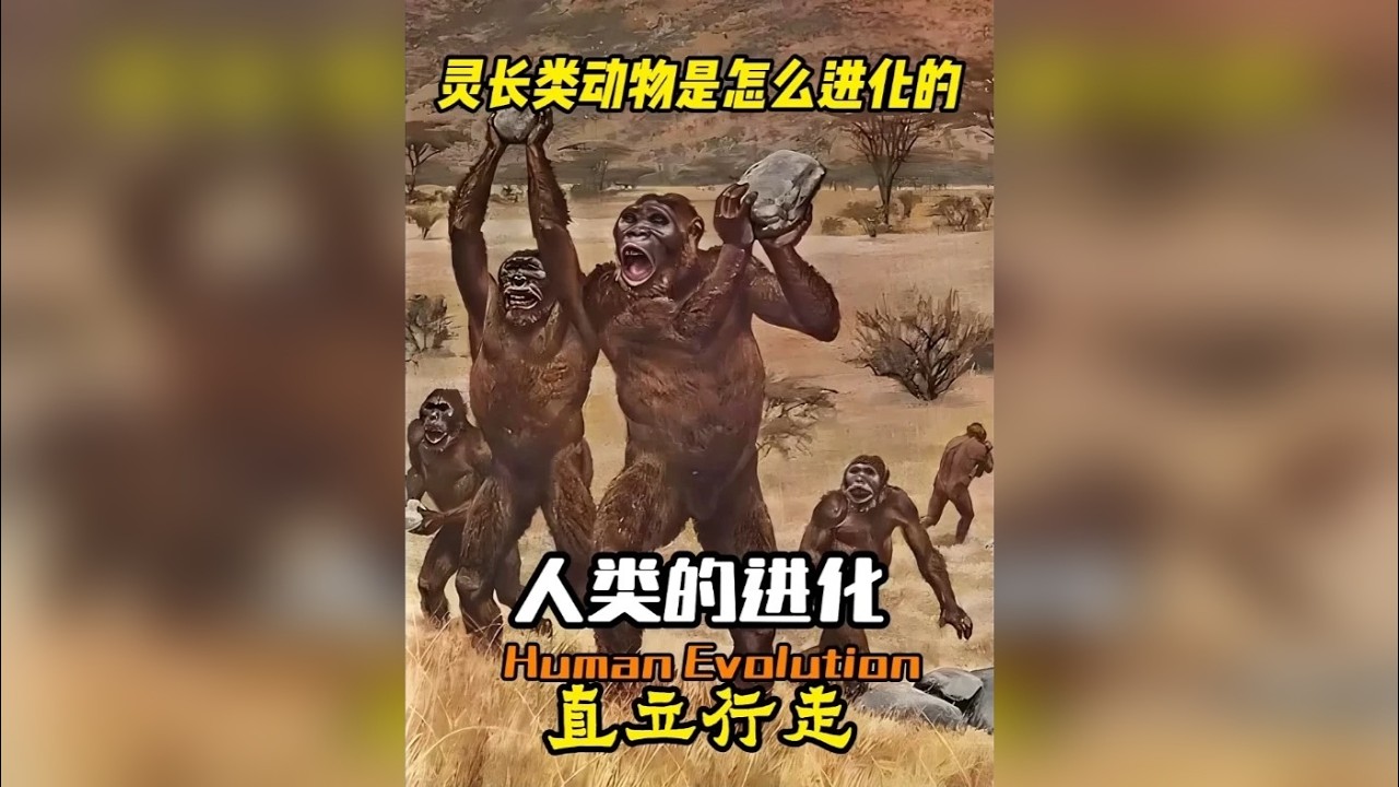 人类进化之谜：达尔文理论真的对吗？