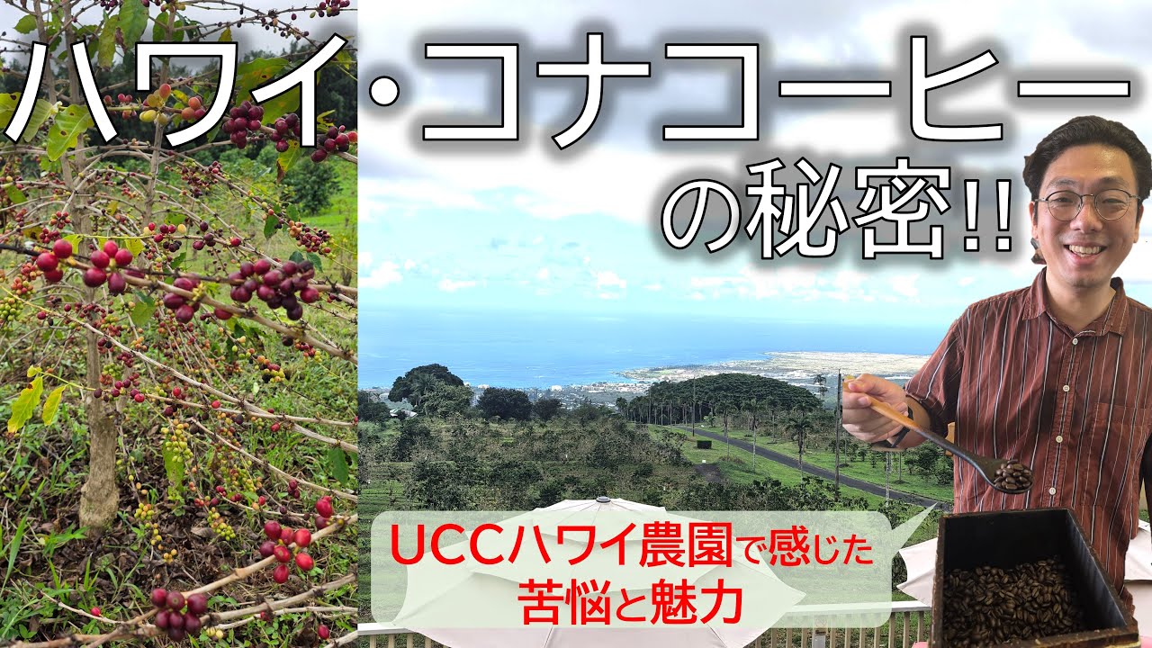 ハワイ・コナコーヒーの秘密：UCC農園でめぐる「最高の１杯」ができるまでの、苦悩と味わいの魅力