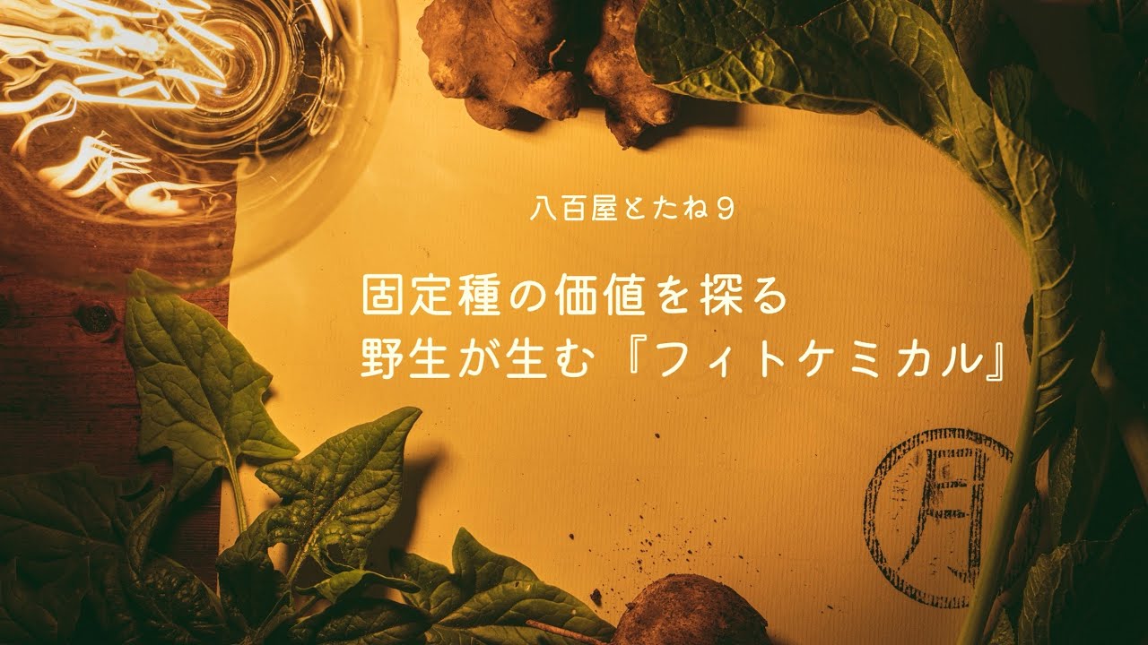 【八百屋とたね９】固定種の価値を探る / 野生が生む『フィトケミカル』