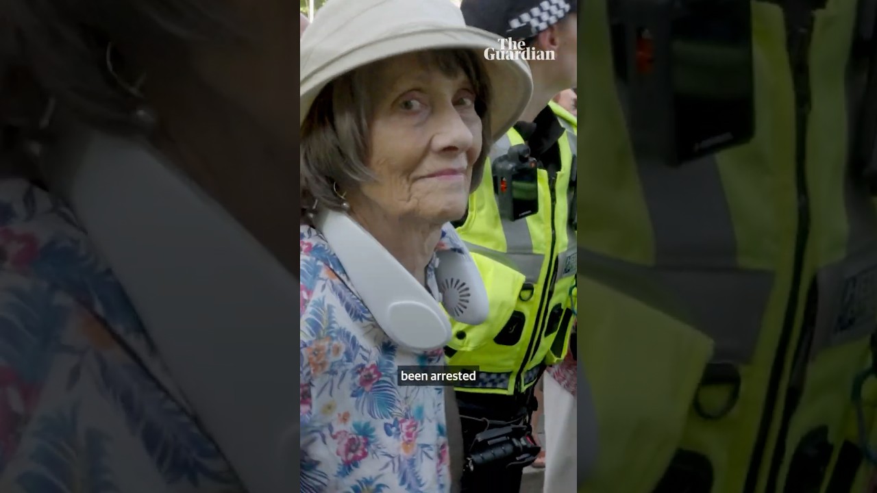 Palestine Action protest: half of those arrested were 60 or over